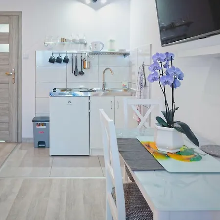 Frank Apartments - 5 Min Auschwitz, 15 Min Energylandia