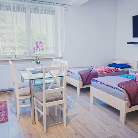 Frank Apartments - 5 Min Auschwitz, 15 Min Energylandia *